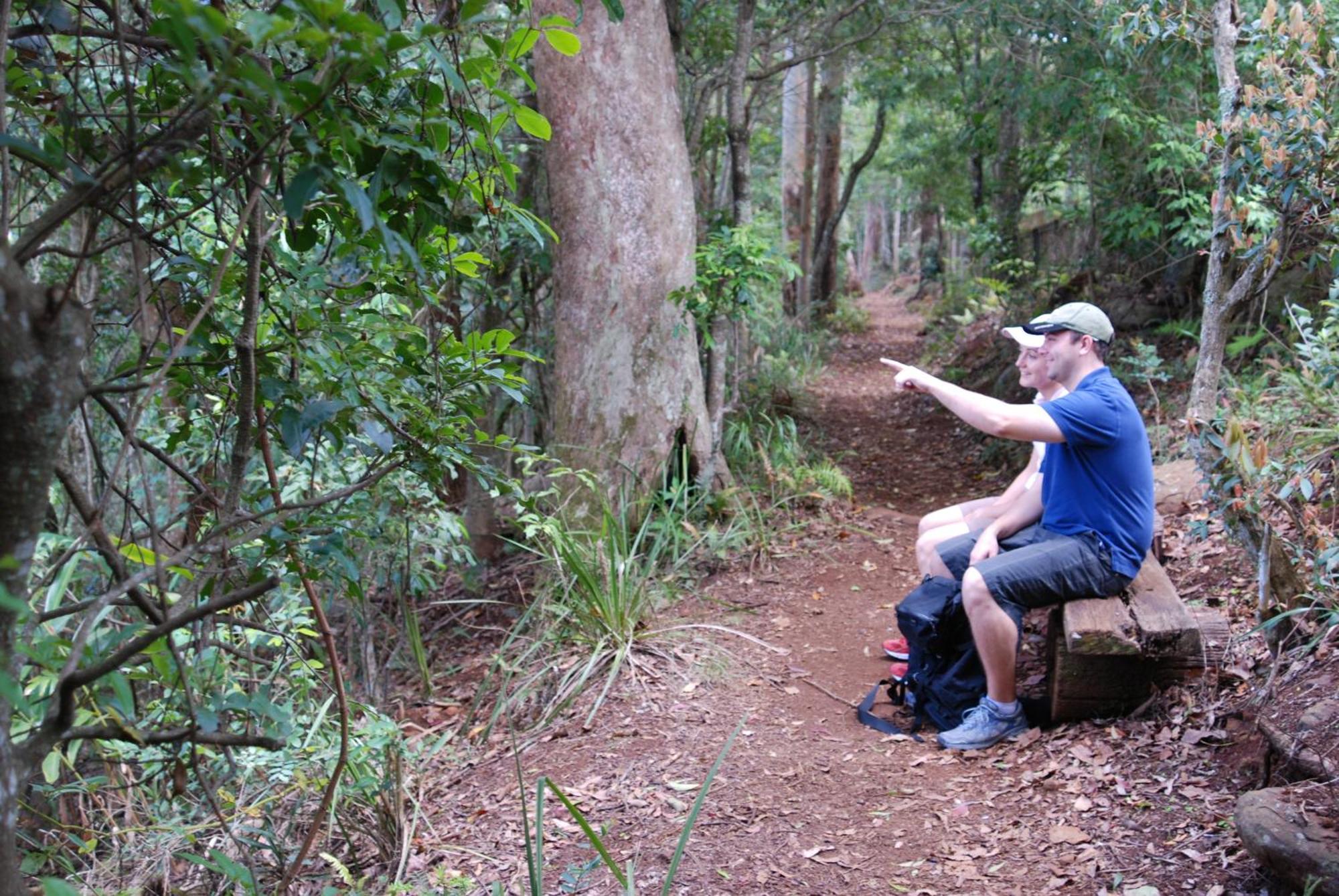 Witches Falls Cottages Mount Tamborine Buitenkant foto
